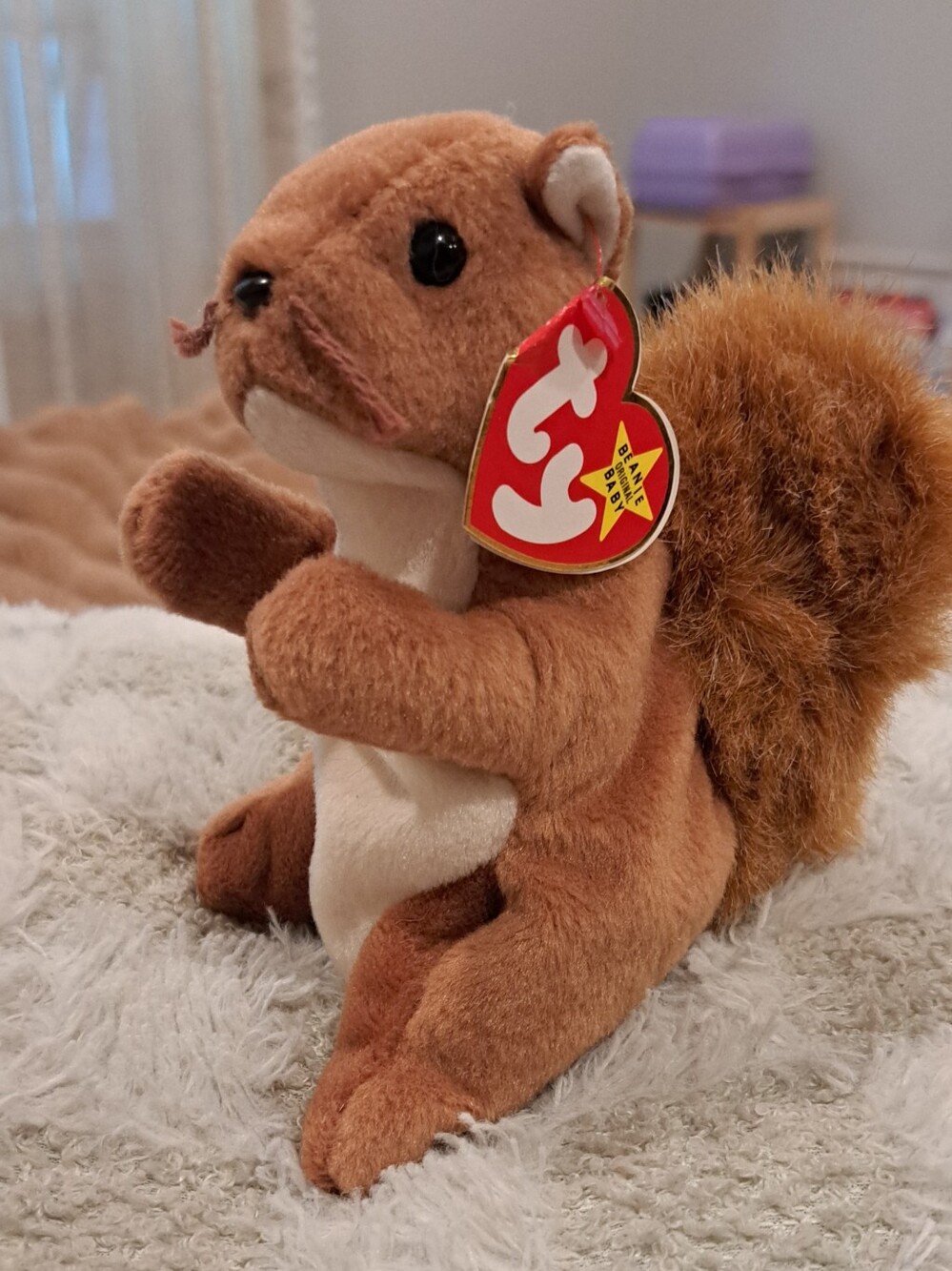 TY Beanie Baby - NUTS the Squirrel (5.5 inch)  Stuffed Animal Toy